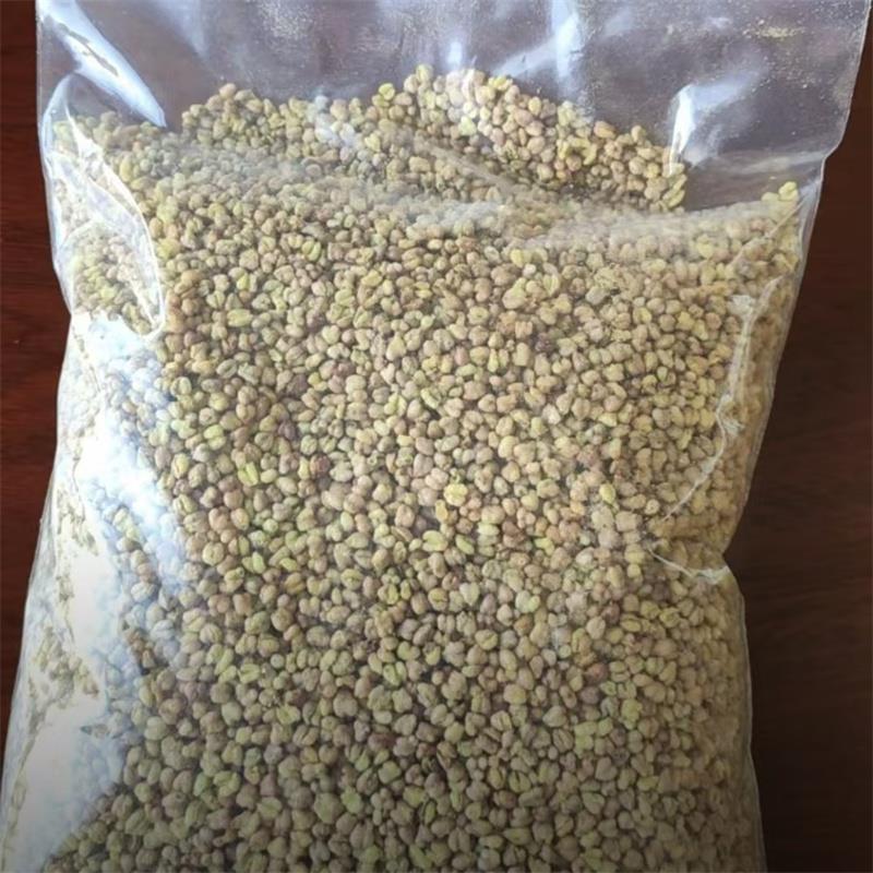 。黄苦荞熟苦荞麦低温烘焙