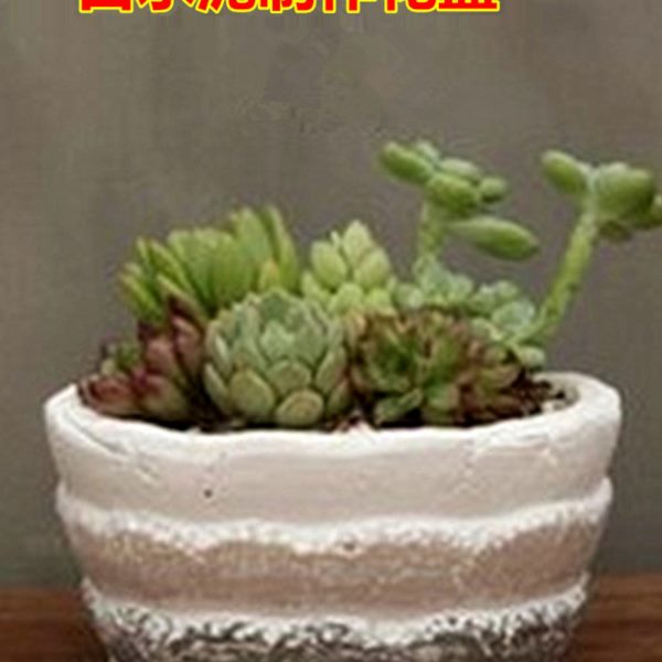 白水泥白沙组合 制作花盆 砌墙 瓷砖填缝做水磨石饰品模型9斤包邮