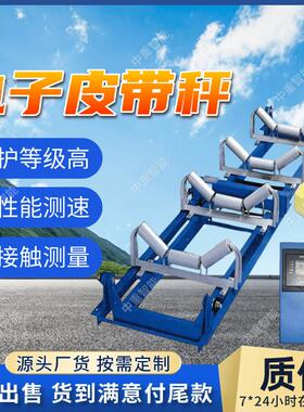 矿用电子皮带秤 现货矿用电子皮带秤 ICS-2000-XF矿用电子皮带秤