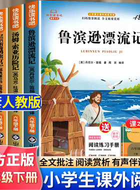 全套4册 鲁滨逊漂流记六年级下册必读正版课外书原著完整版汤姆索亚历险记尼尔斯骑鹅旅行记爱丽丝漫游奇境快乐读书吧6下书籍宾孙