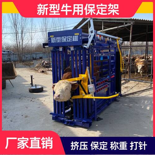牛保定架牛用枷称重耐用