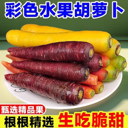 彩色水果胡萝卜新鲜三色紫胡萝卜即食水果七彩迷你手指小黄胡萝卜