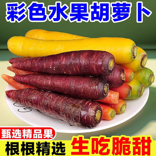 彩色水果胡萝卜新鲜紫色胡萝卜