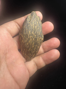 越南芽庄沉香木随形手把件木质木雕挂坠工艺品文玩礼品药香味浓郁