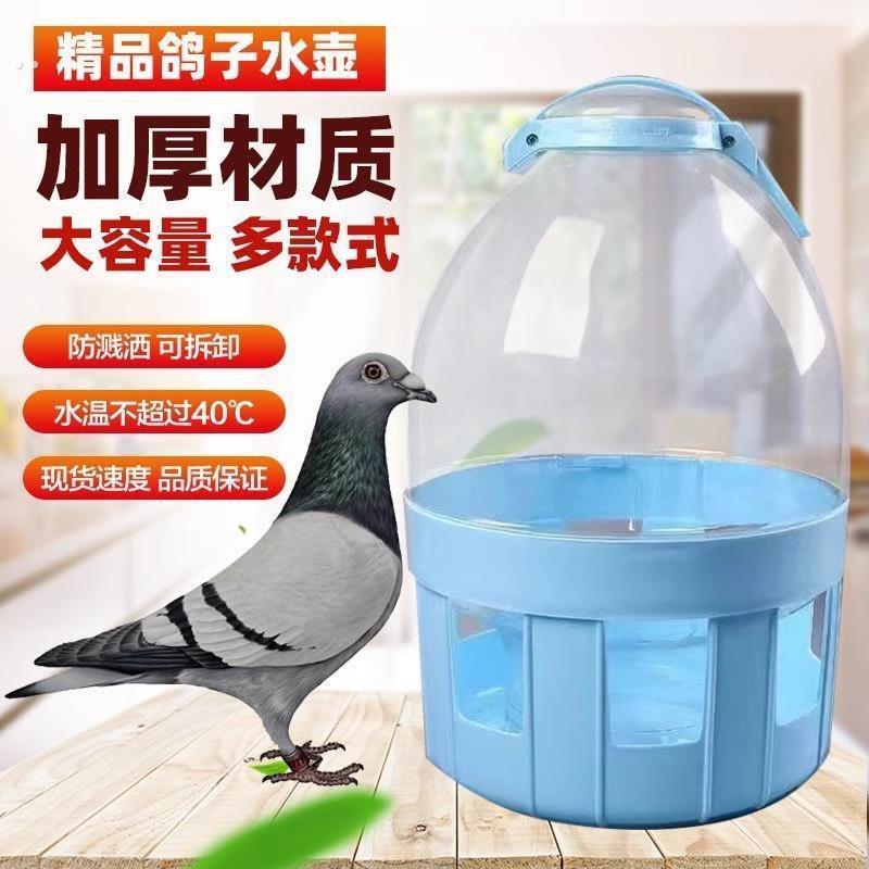 鸽子用品用具饮水器自动喂水信鸽水槽赛鸽喝水桶鸽具鸡用水壶加厚