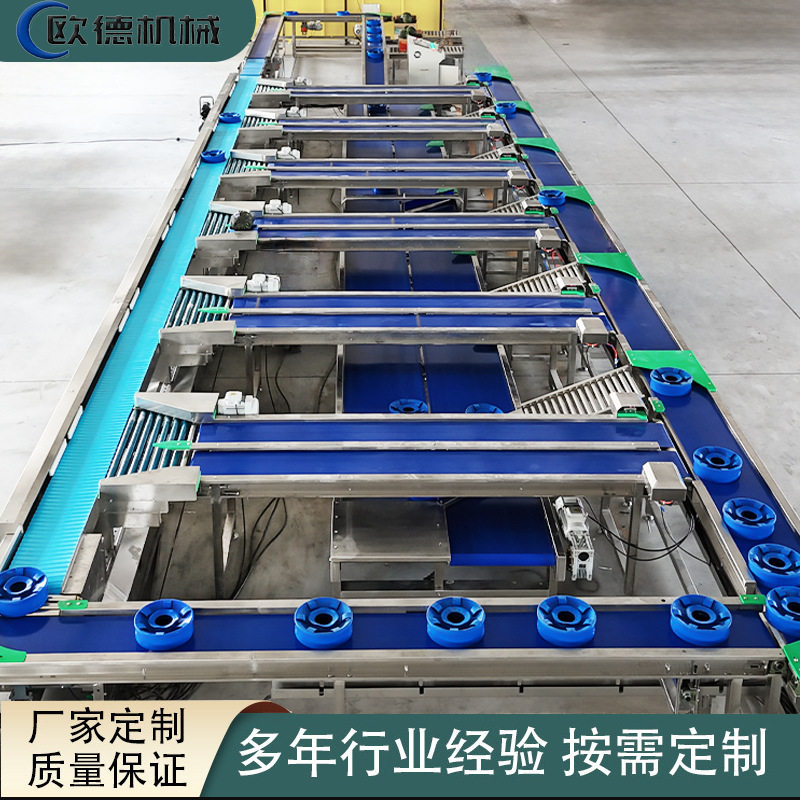 榴莲无损果托分选机 苹果梨桃子自由果托式皮带分拣机 西瓜分选机