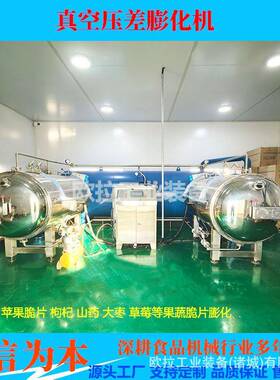 山片差真空压膨化设备 菠萝蜜脆片膨果化机全自动蔬膨化生产欧拉