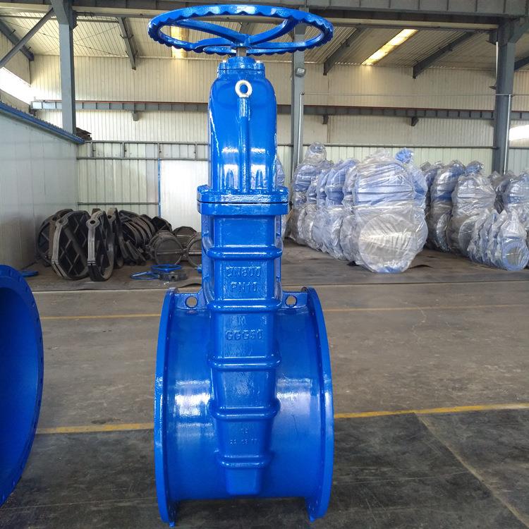 Z545X弹性座封闸阀软密封闸阀伞齿轮闸阀法兰大口径DN1200