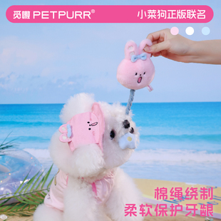 小菜狗联名咩咩兔宠物咬绳玩具猫咪狗狗磨牙爪解压自嗨解闷陪伴