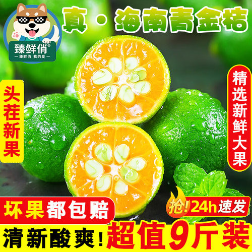 奶茶店商用1级青金桔9斤批发价
