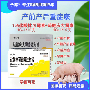 予邦产前产后重症康15%林可霉素庆大霉素母畜恶露不尽发烧不食