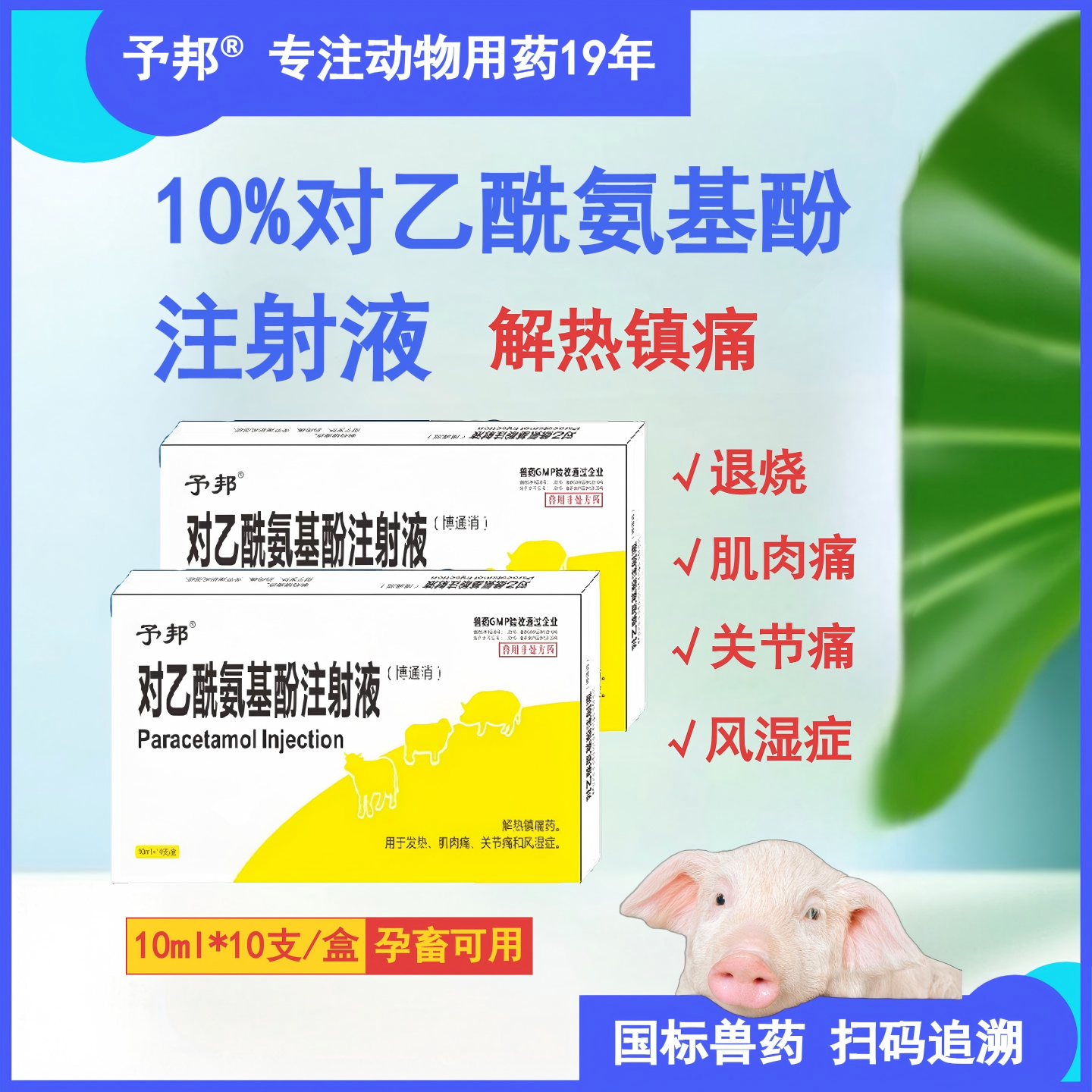 予邦对乙酰氨基酚兽用注射液退烧