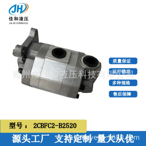 加工定制 液压齿轮油泵 2CBFC2-B2520 厂家直营