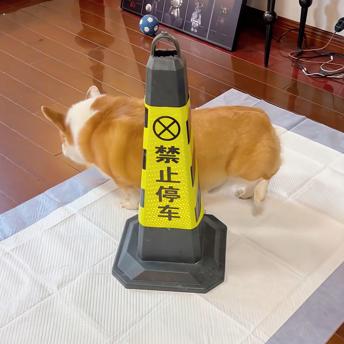 狗狗尿尿立柱锥形桶公狗定点防乱尿神器雪糕筒宠物厕所撒尿引导柱