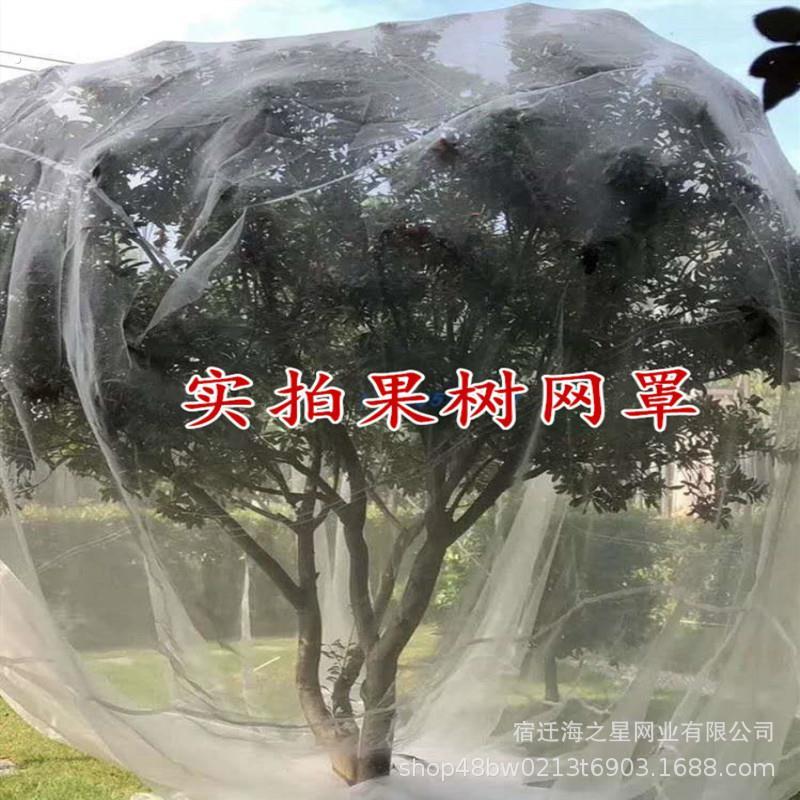 厂家现货防虫网罩杨梅罩莲雾桃树蚊帐型防虫罩樱桃防苍蝇网罩大棚