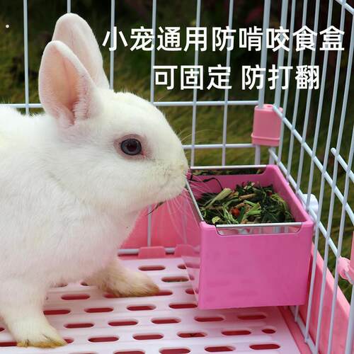 兔子草架内置可悬挂大容量喂食器可固定不漏草龙猫荷兰猪食盒用品
