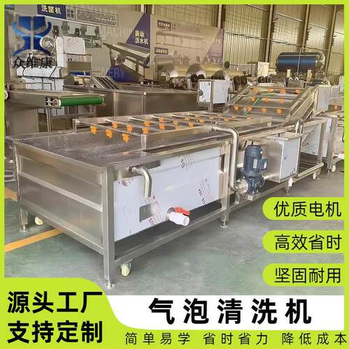 大型自动洗菜机水果蔬菜高压喷淋清洗设备材气泡喷淋清洗设备