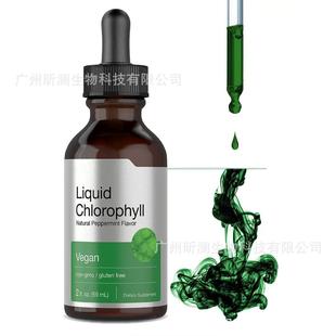 1现货tk新品热销Liquid Chlorophyll叶绿素滴剂源头工厂多