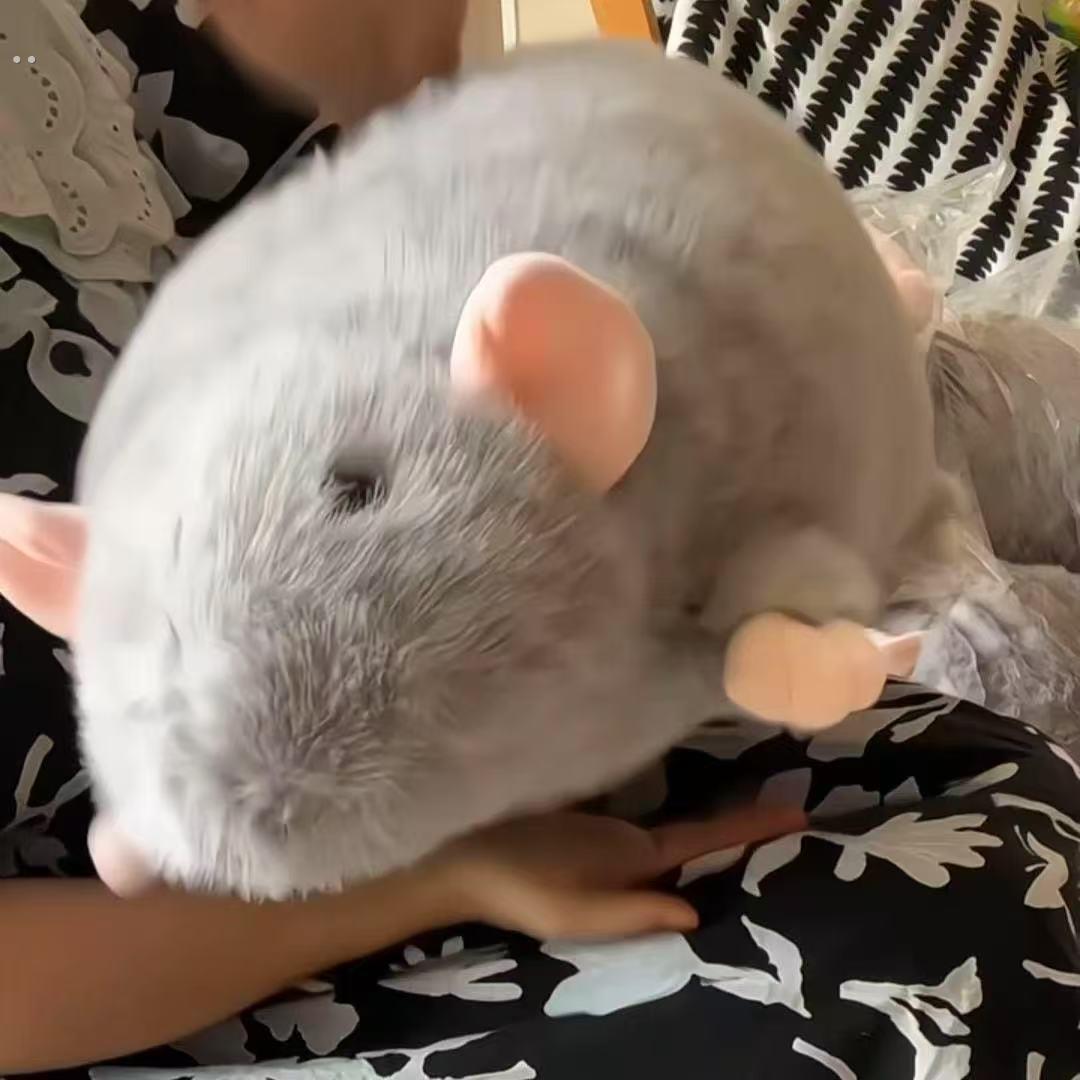 花枝鼠玩偶彷真大老鼠毛绒玩具抱枕可爱搞怪豚鼠女生男友生日礼物