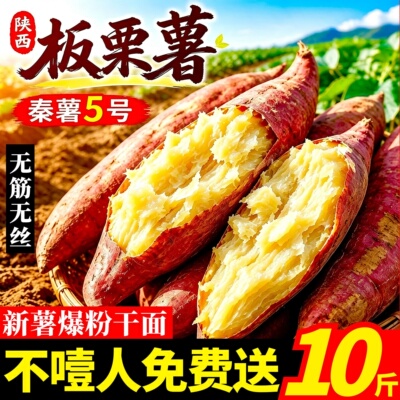 陕西正宗板栗红薯新鲜小香薯蜜薯桥头地瓜农家自种沙地临潼板栗薯