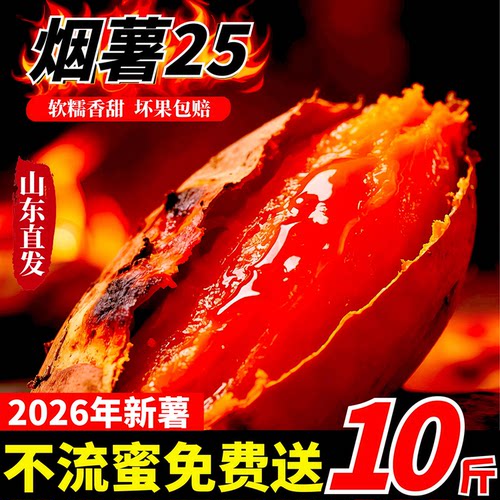 正宗山东烟薯25号蜜薯糖心流油红薯烤红薯专用沙地地瓜番薯山芋10