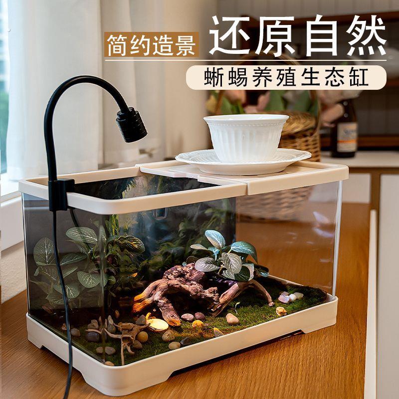 爬宠生态缸饲养箱复刻宠物热带雨林造景小型温控爬行动物饲养缸