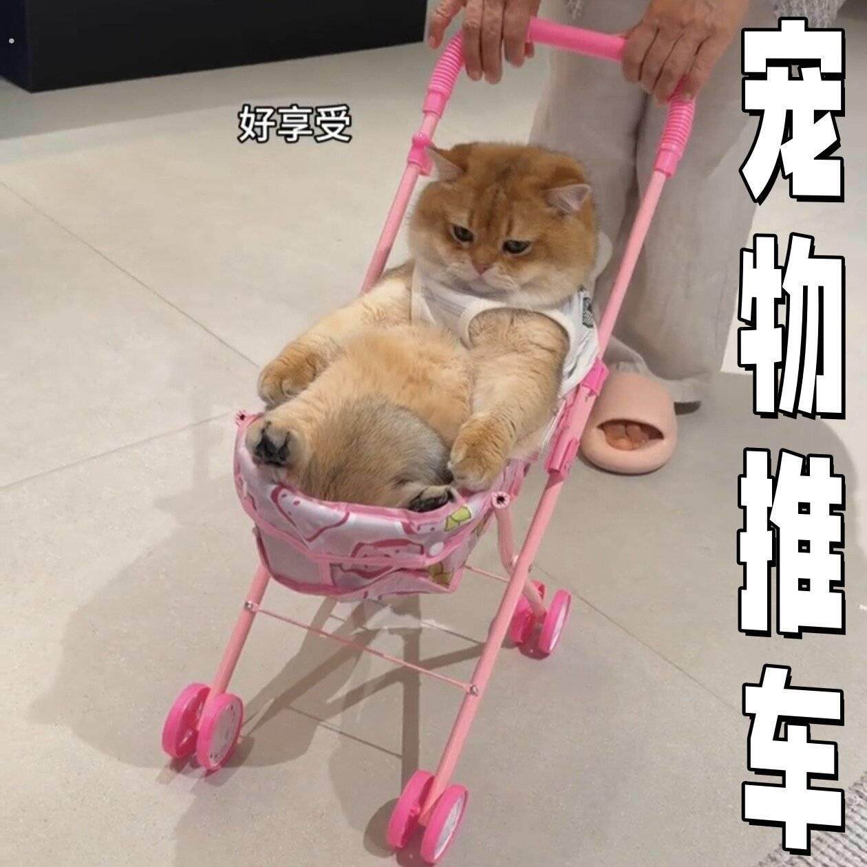 宠物推车可爱创意猫咪小狗遛弯专用小车可携式可折叠手推户外婴儿