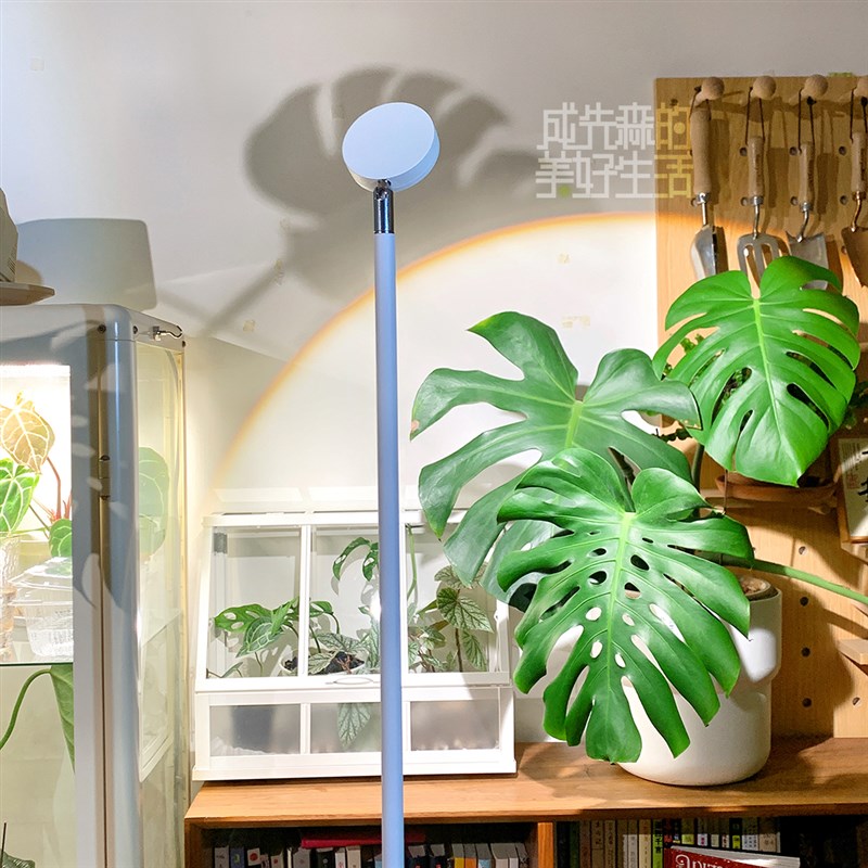 白色植物补光灯 COB全光谱热植三角梅多肉生长灯落地款植物灯