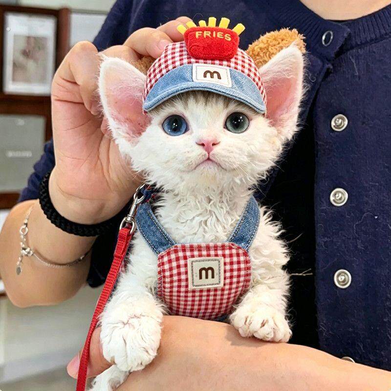 猫咪牵引绳防挣脱不勒脖可爱薯条胸背带外出专用幼猫遛猫绳猫链子