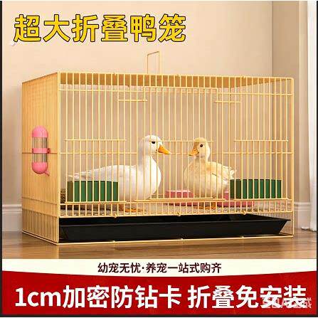 柯尔鸭专用笼子养小鸭子小鸡别墅笼大号家用室内芦丁鸡笼房子屋窝