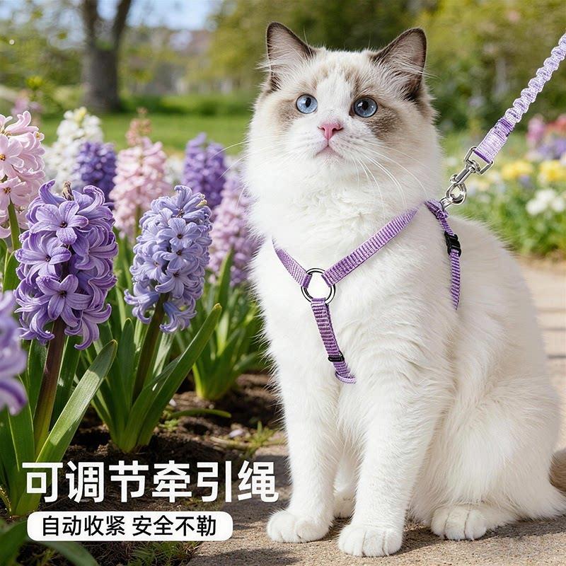 猫咪牵引绳宠物遛猫绳可调节外出专用抱婴袋防挣脱神器牵猫绳小猫