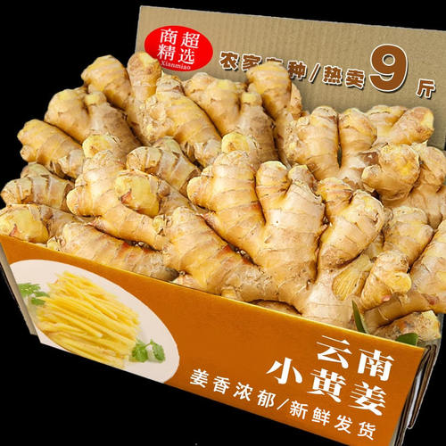【掌柜推荐】云南有机小黄姜