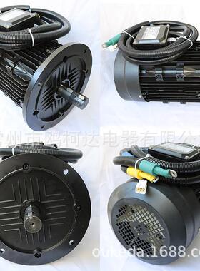 直流无刷电机 Y2稀土永磁电动机 5.5W 220/310V 1500rpm铝壳高效
