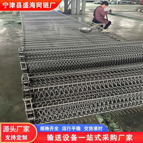 304不钢ZJU烘网带退火炉干机耐温网锈链镀锌金链条式属网带输送带