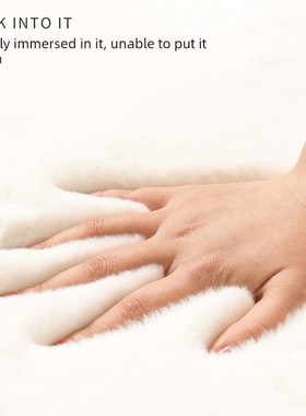 IKAE卧室客厅可擦免洗彷兔毛绒床边毛毯地垫飘窗垫厚白色毛绒绒