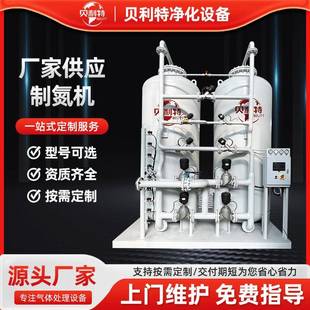 厂家供应PSA变压吸附制氮机高纯碳分子筛安装 食品工业制氮机