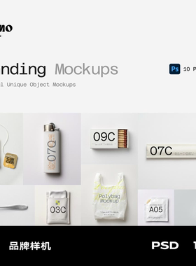 10款品牌包装样机打火机火柴塑料袋茶包眼镜布筷子勺子ps样机素材
