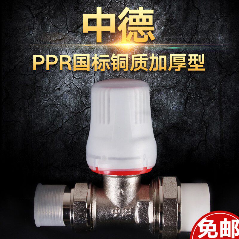分分暖气片直式温控直散热器片门管管件