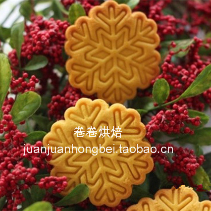 卷卷烘培韩国定工具圣诞雪花饼干模+印模