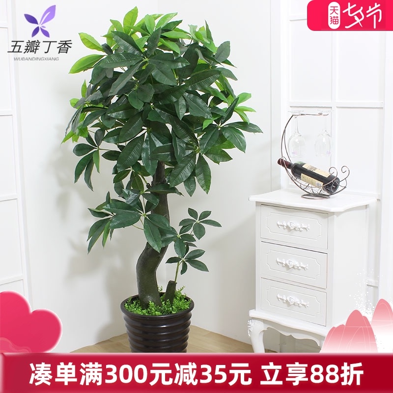 假树仿真发财树盆栽绿植植物盆景室内滴观音花