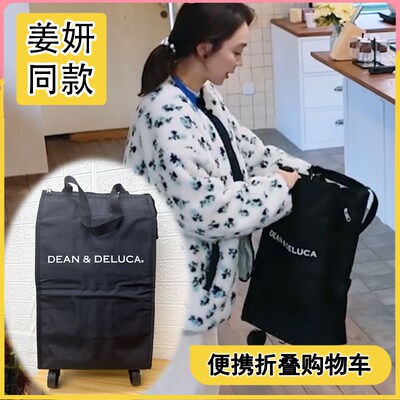 姜姜好婶姜妍同便携折叠购物车推车轻便轮手拉车拖车