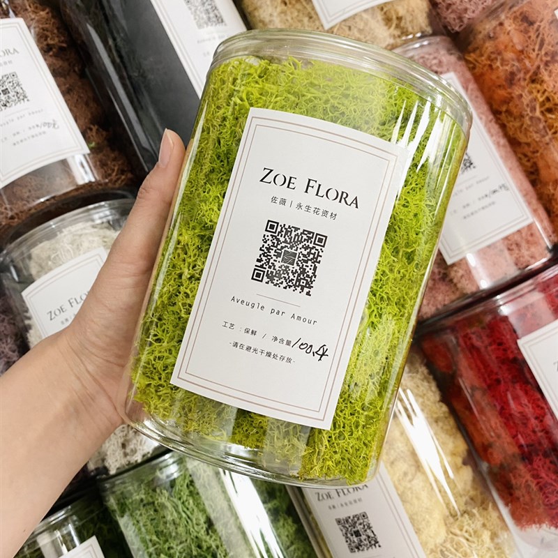 佐薇丨苔藓克永生花植物墙微景观地衣海苔材花材