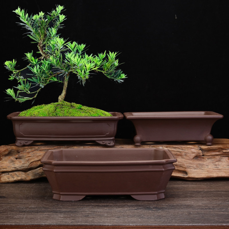 紫砂花盆方形松柏盆景盆长方形精品榕树老桩文竹