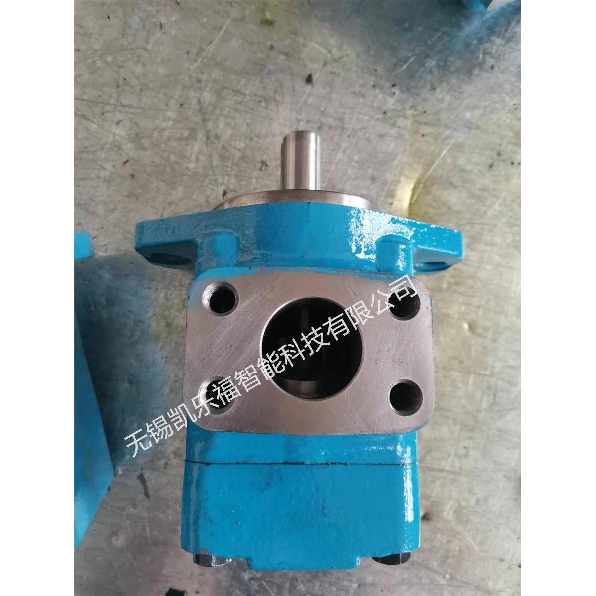 20V6A-1A22L,20V6A-1B22L价格 叶片泵厂家 压铸机油泵 注塑机油泵