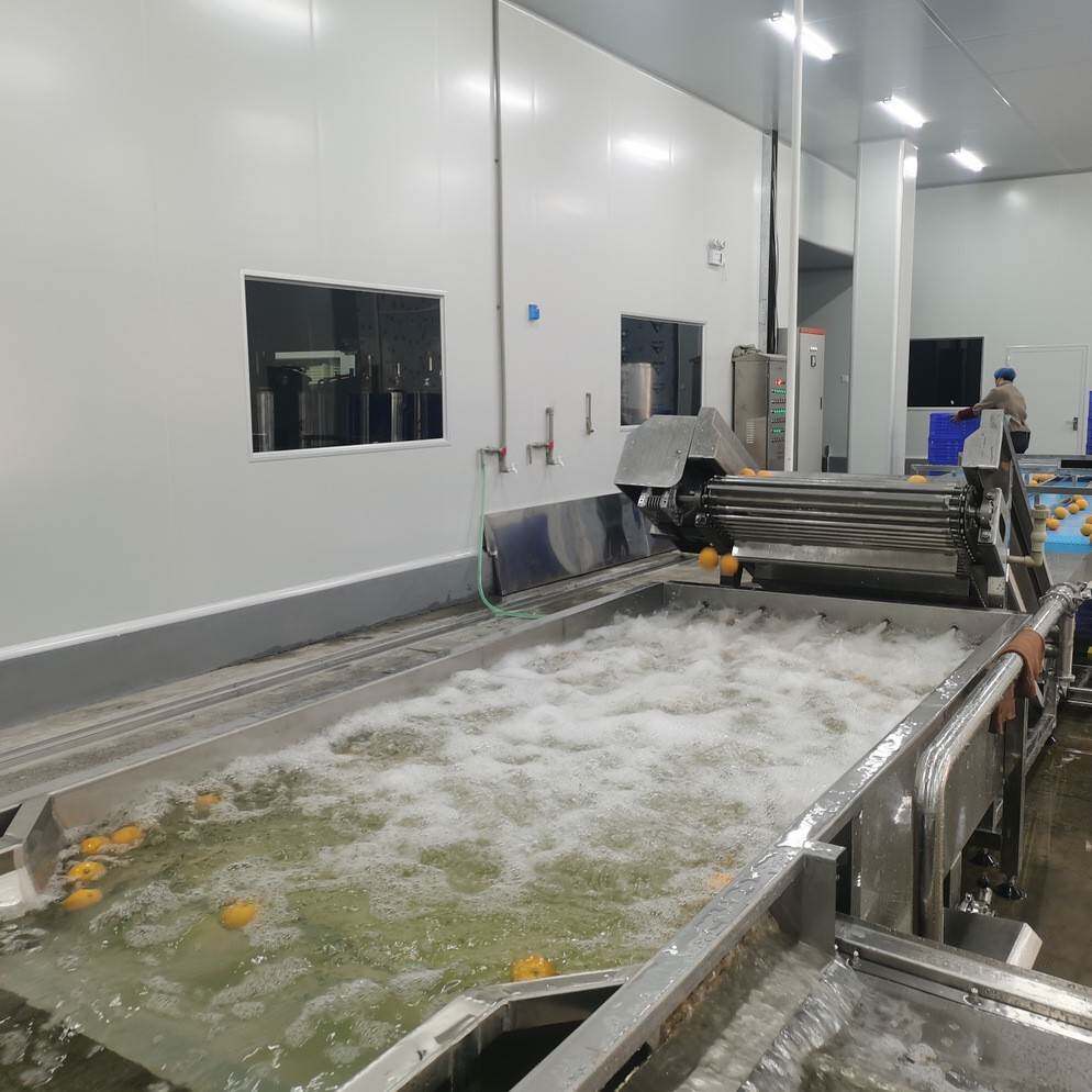 百香果清洗设备 超声波 小金桔 橙子 黄皮清洗设备 源头工厂