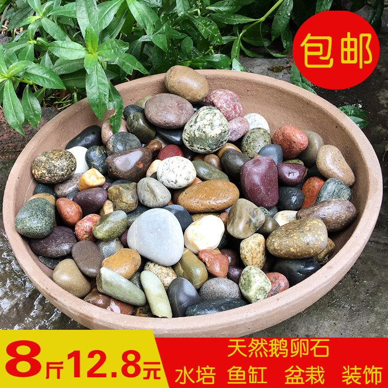 雨花石盆栽石 多肉五彩石 天然白石鱼缸造景抛光鹅卵石