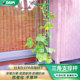 植物支架蔷薇月季 黄瓜西红柿三角固定支撑杆可调节包塑不生锈