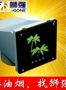 狮强牌0强力排气扇厨房油烟换气扇静音窗式排风机玻璃面板