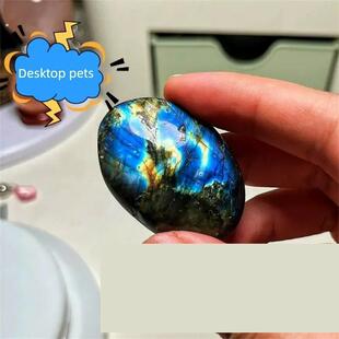 宠物石头稀罕宠物适合小孩子养的学生迷你宠物拉长石桌面宠物石头