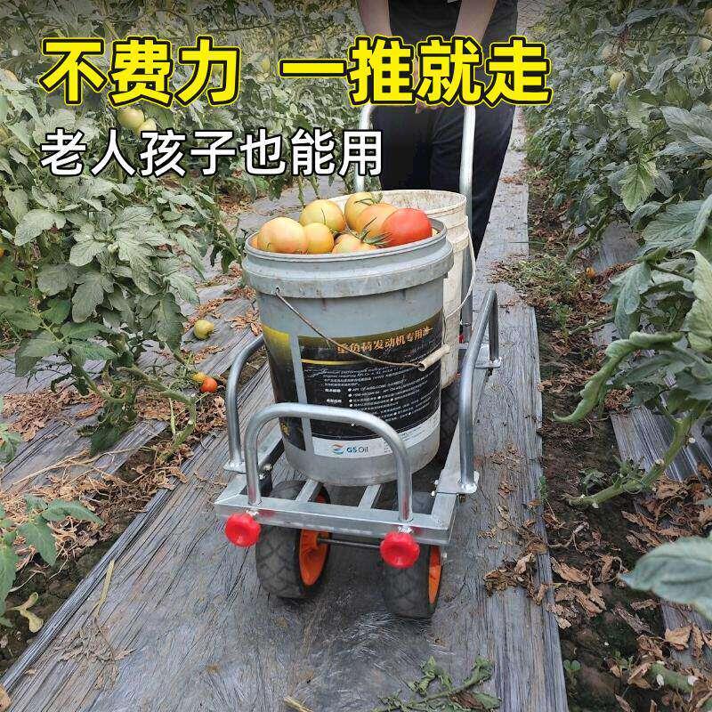 大棚菜地果园瓜果蔬菜运输采摘车 8寸越野宽轮胎可推拉家用手推车